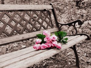 roses on bench, selective coloring, selective color