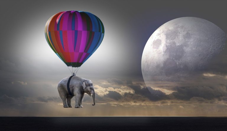 elephant, weightless, balloon